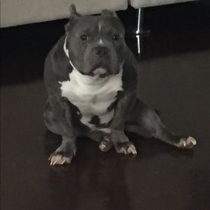 Meet your Posher, Hans